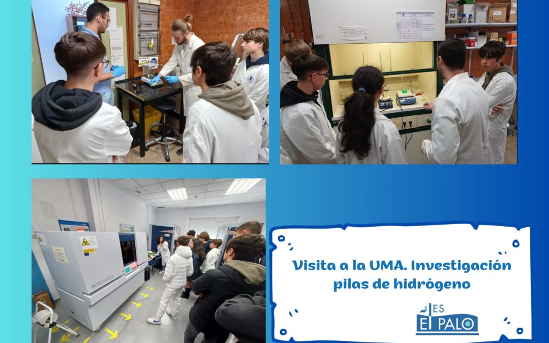 Visita a la UMA. Proyecto de investigación con IES